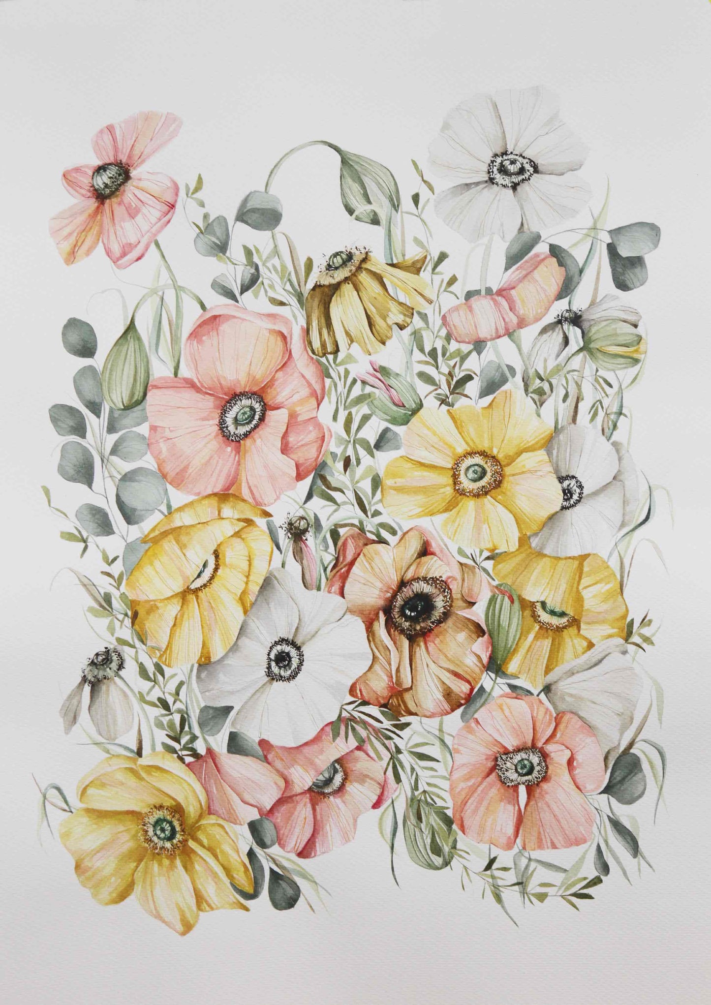 Seed to Slumber Watercolour Print